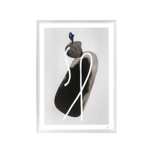 Peytil : <span>Albatross</span>