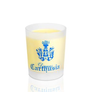 Mediterraneo | Scented Candle - 190 gm